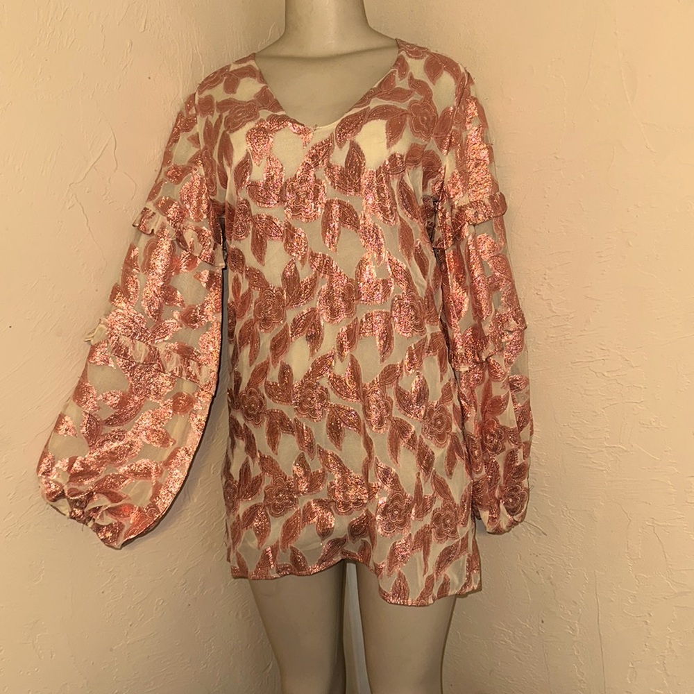 Nwt free people long sleeve dress